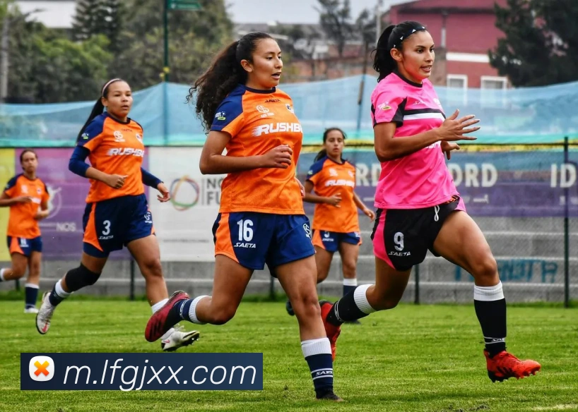 App Interface Preview